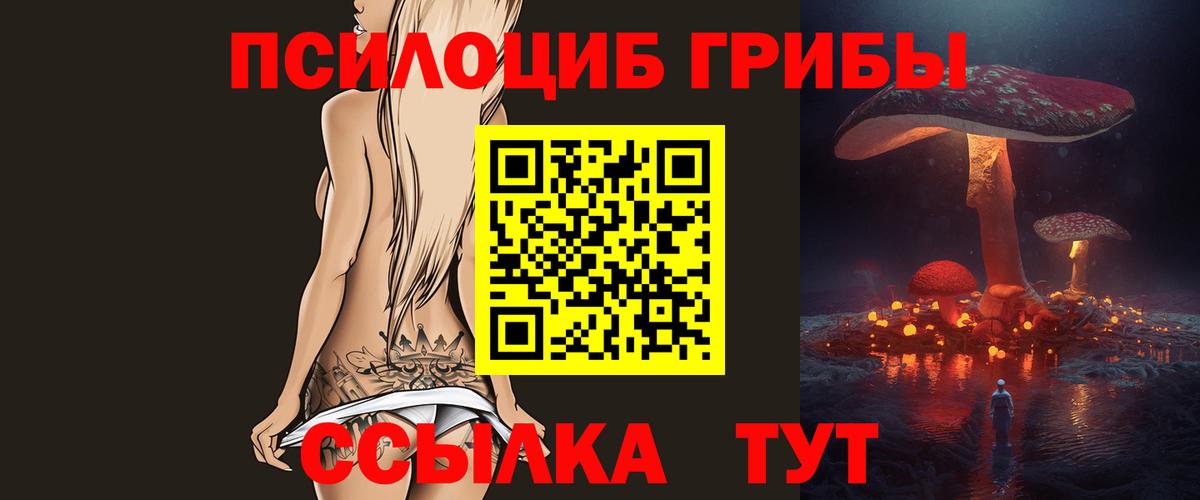 Пушкино  Псилоцибиновые грибы GOLDEN TEACHER  Галлюциногенные грибы ЛСД  Вход с VPN 